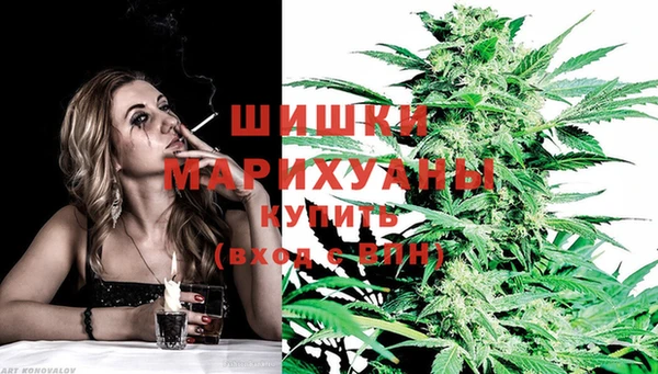 ПСИЛОЦИБИНОВЫЕ ГРИБЫ Кущёвская