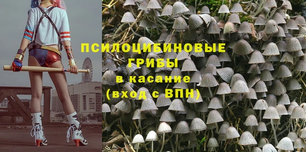 прущая мука Покачи