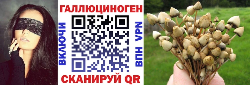 Псилоцибиновые грибы прущие грибы  Вичуга 